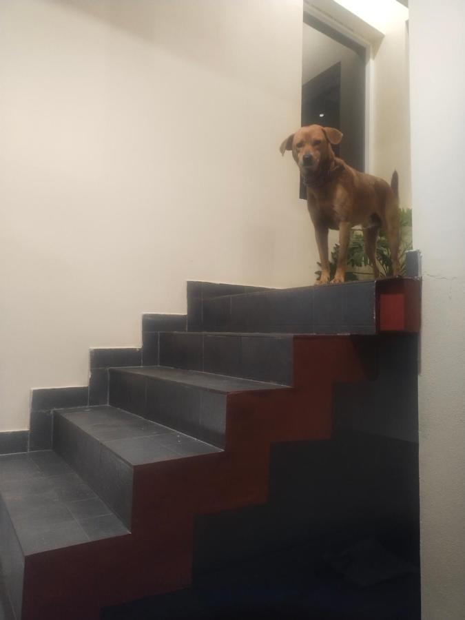 Two Bedroom House 马迪凯里 外观 照片